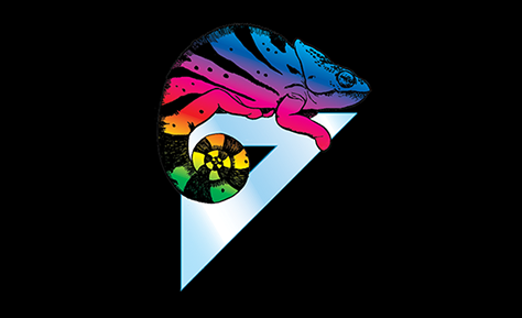 chameleon-design